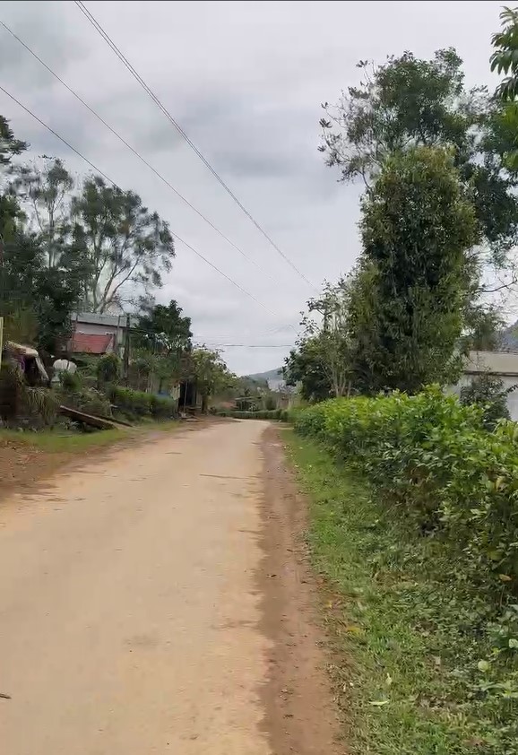 500 triệu 1 lô, đất nền đẹp Mỹ tân, Ngọc lặc, Thanh hóa mặt tiền rộng, view hồ Cống khê - Ảnh 3